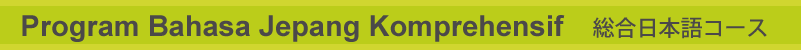 Общий курс японского языка